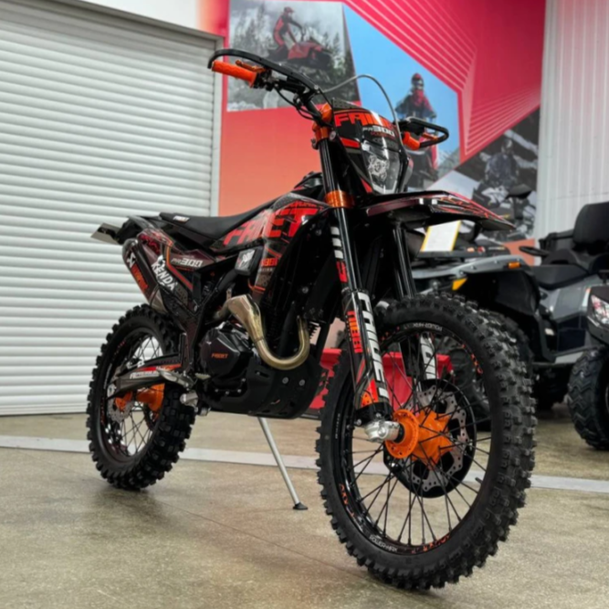 Кроссовый мотоцикл FAIDET PR300 MAX WP в Ельце