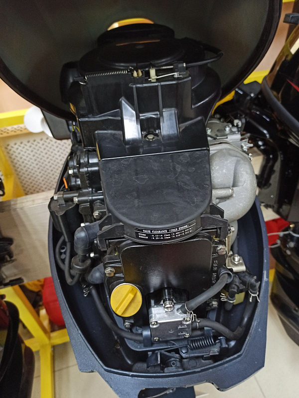 Лодочный мотор BREEZE F9,9S (4х тактный) в Ельце