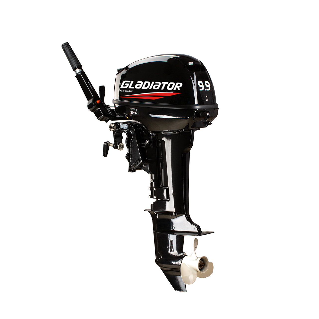 ЛОДОЧНЫЙ МОТОР GLADIATOR G9.9FHS в Ельце