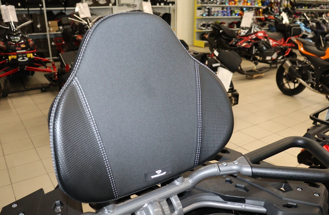 Квадроцикл PROMAX RENEGADE 300 LONG WINCH PRO (2025) в Ельце