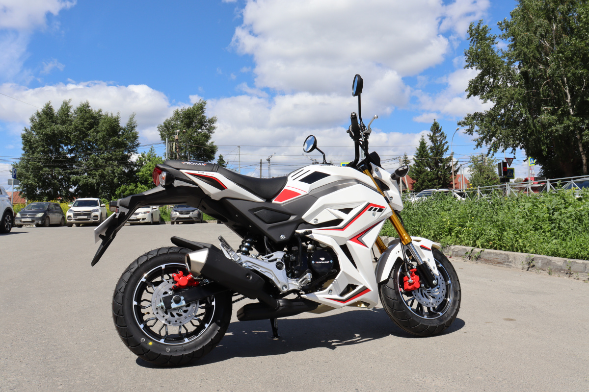 Мотоцикл PROMAX STRYKER 200(49) 2.0 в Ельце