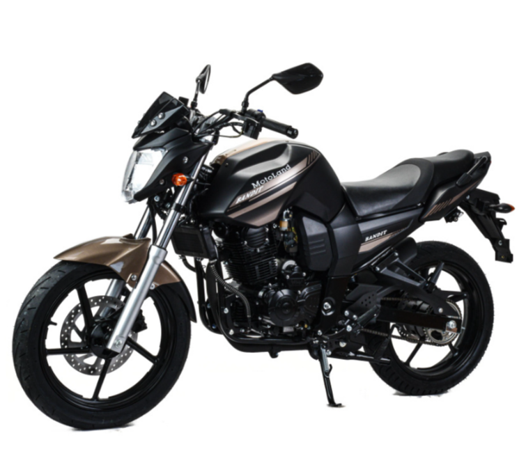 Мотоцикл MOTOLAND (МОТОЛЕНД) 300 BANDIT в Ельце