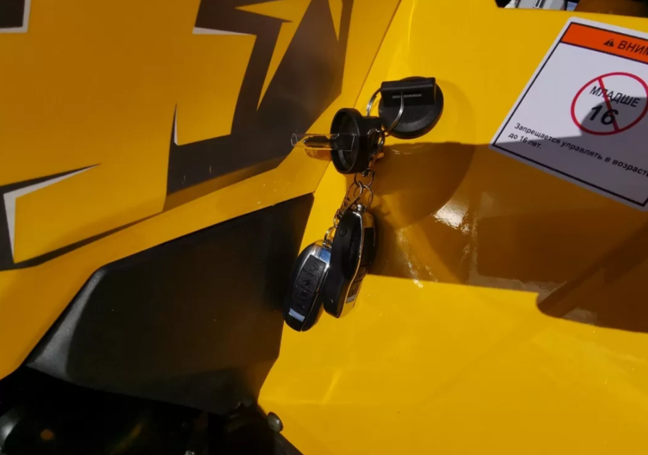 Квадроцикл MOTOLAND (МОТОЛЕНД) VOX200 WILD TRACK X PRO (баланс. вал) в Ельце