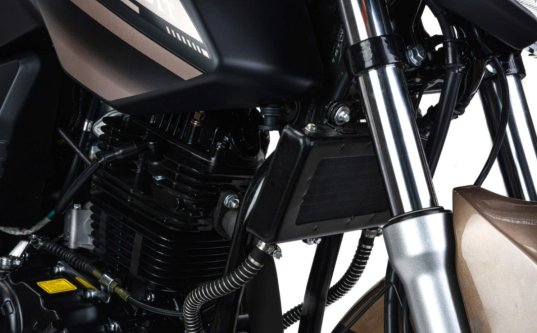 Мотоцикл MOTOLAND (МОТОЛЕНД) 300 BANDIT в Ельце