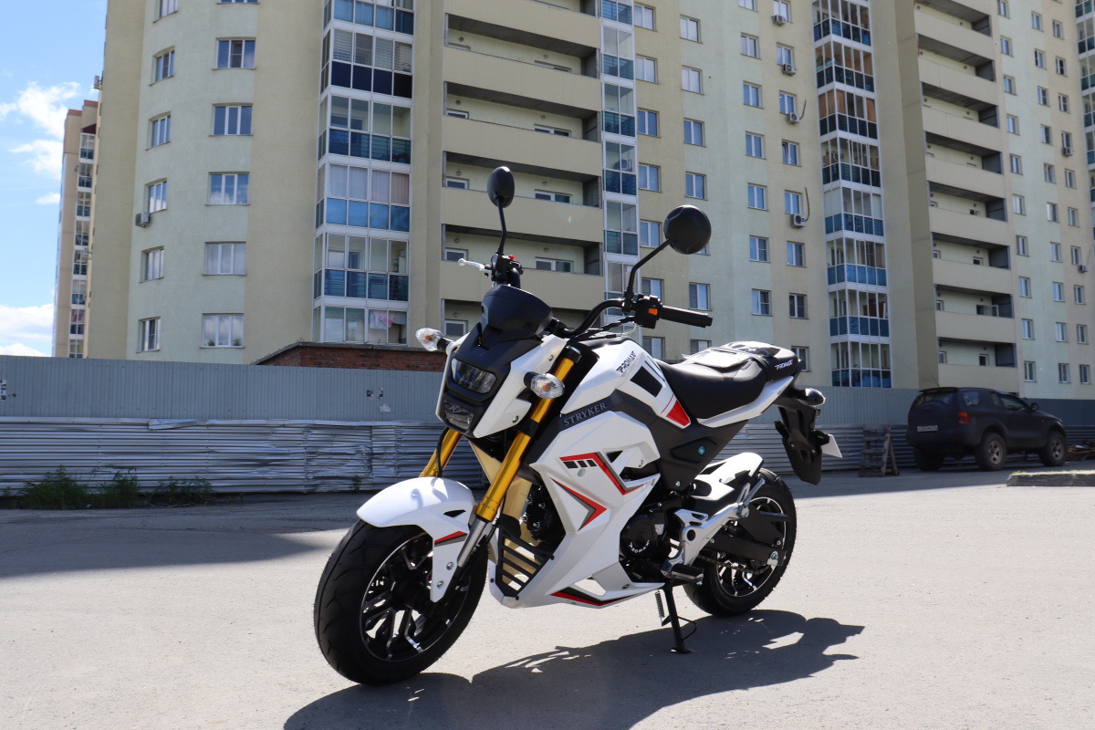 Мотоцикл PROMAX STRYKER 200(49) 2.0 в Ельце
