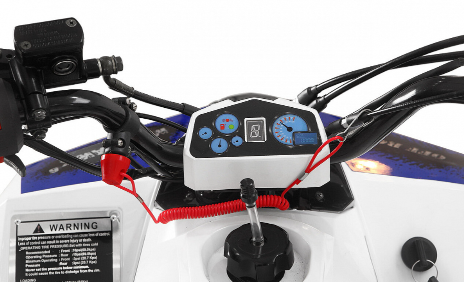 Квадроцикл Yacota Raposa 110 в Ельце