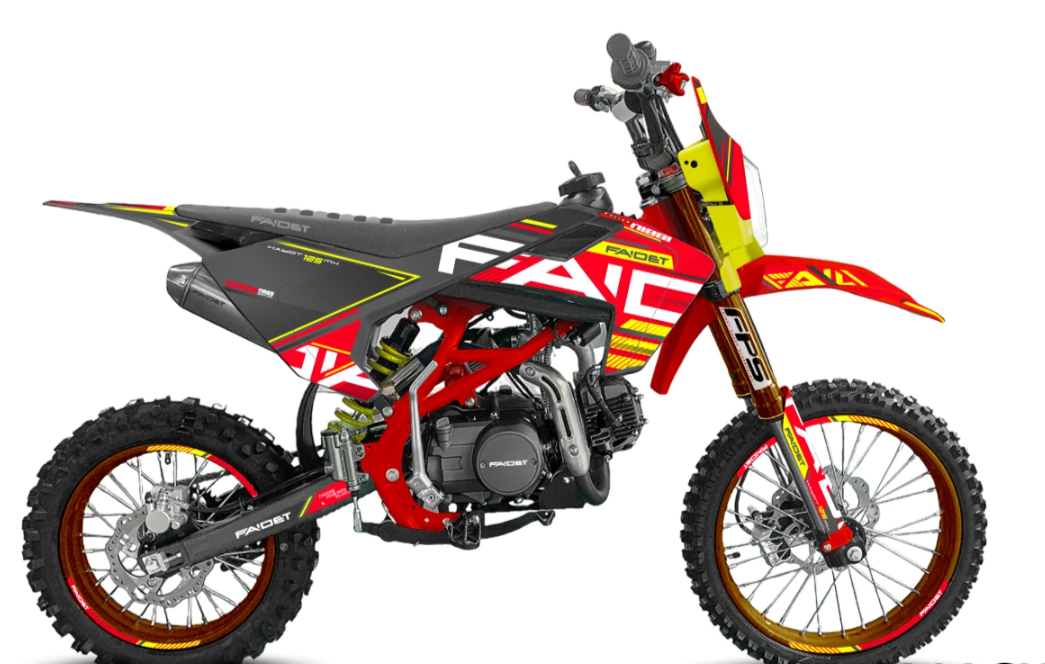 Питбайк FAIDET KAYOT 150E-PRO 19/16 в Ельце