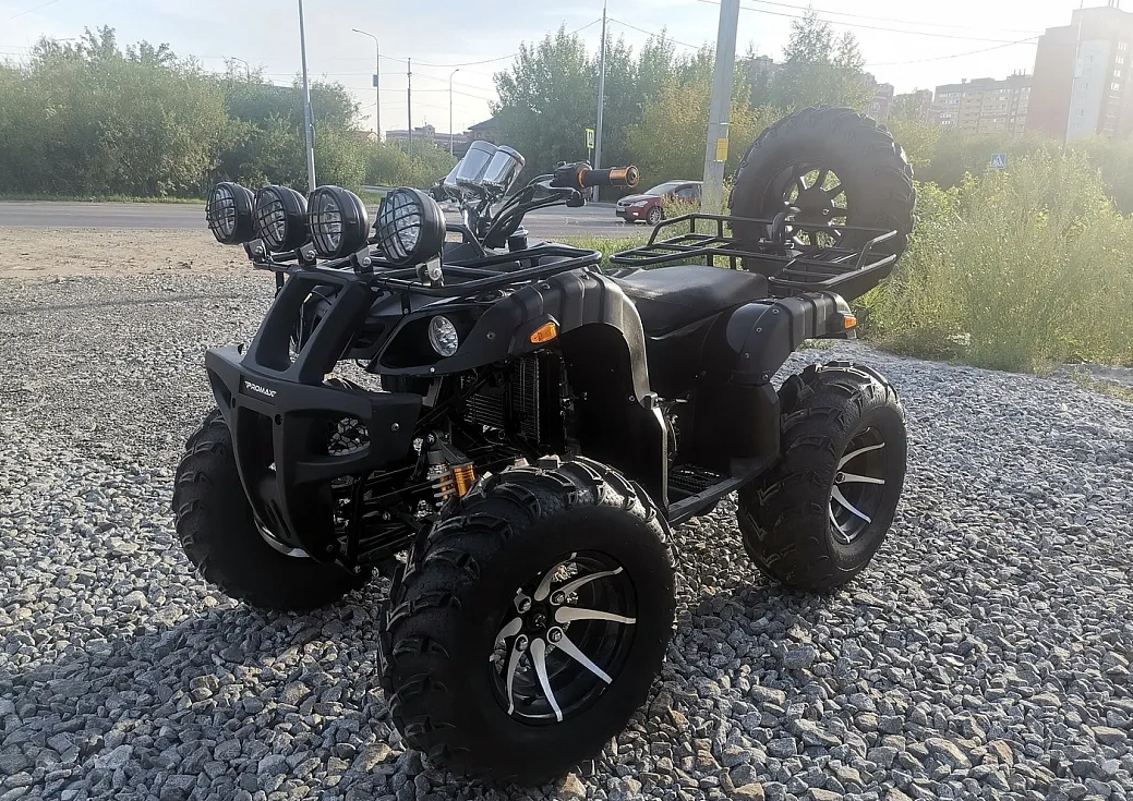 Квадроцикл PROMAX LEO 300 Max (кардан) в Ельце