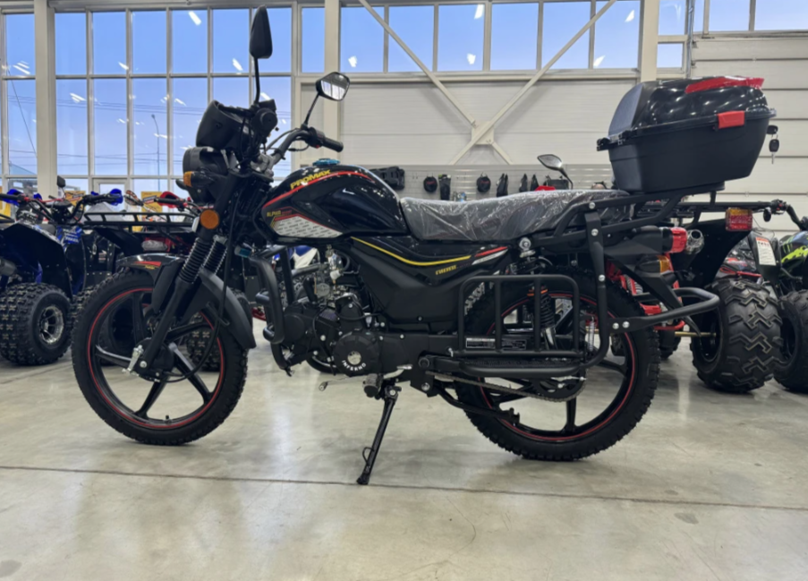 Мопед PROMAX ALPHA TOURIST 150(49) LUX в Ельце