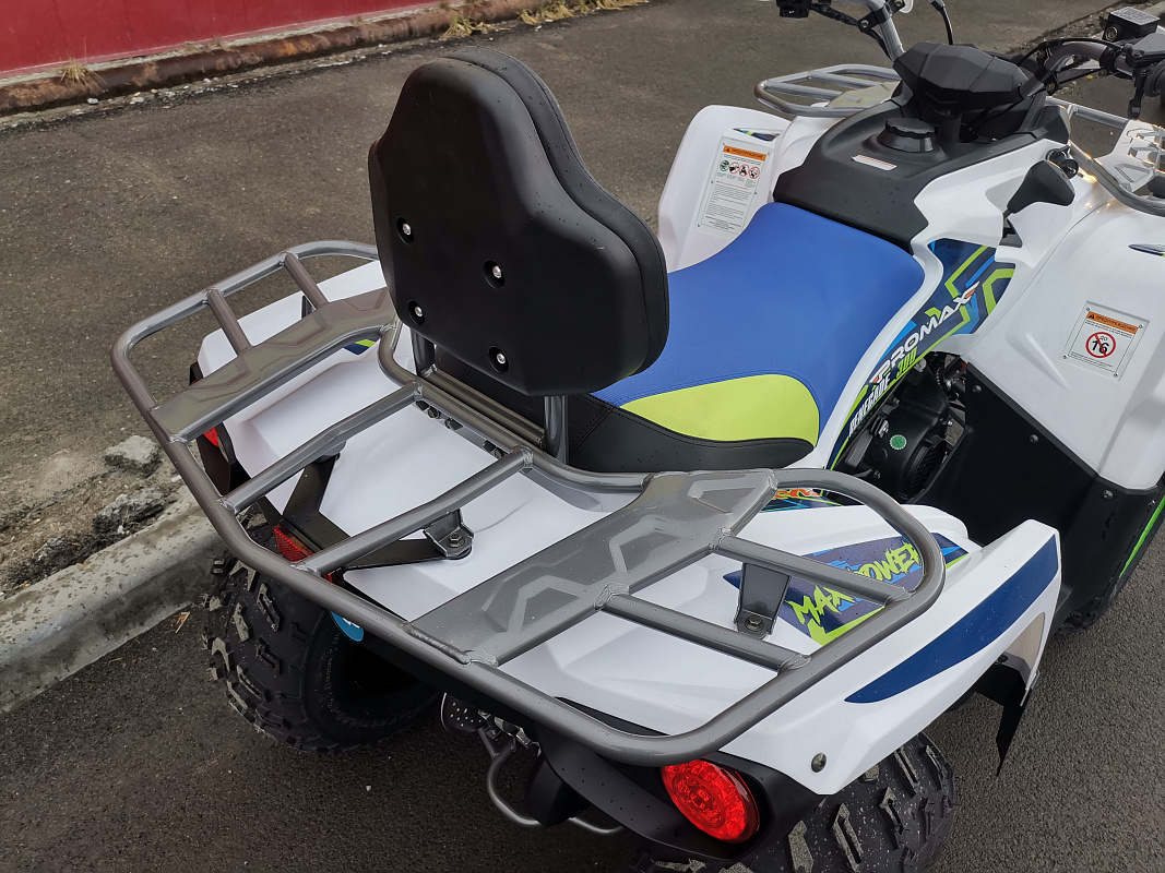 Квадроцикл PROMAX RENEGADE 280 LUX (2025) в Ельце