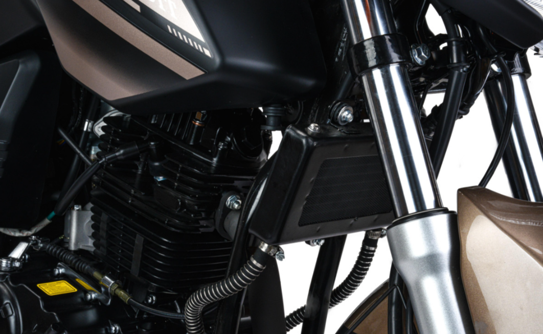 Мотоцикл MOTOLAND (МОТОЛЕНД) 300 BANDIT в Ельце