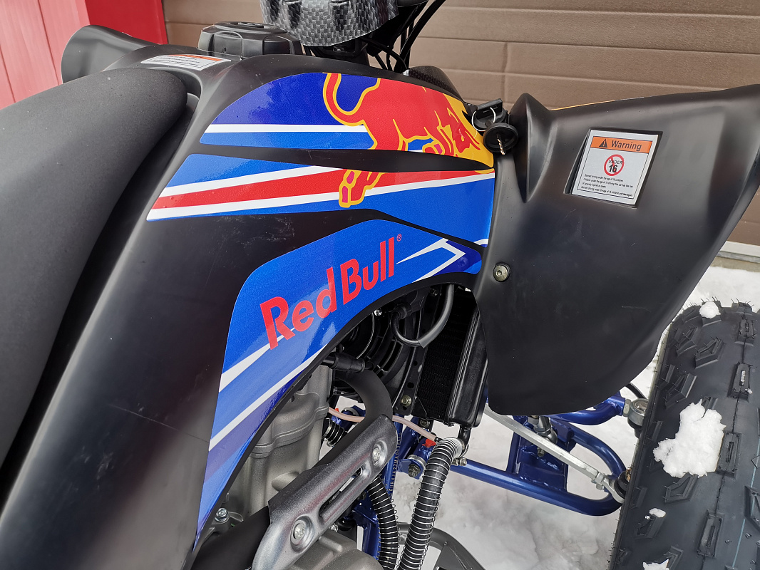 Квадроцикл PROMAX RAPTOR 300 NEW RedBull в Ельце