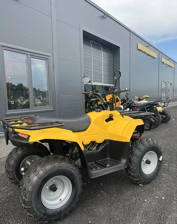 КВАДРОЦИКЛ IRBIS ATV 250  в Ельце