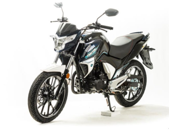 Мотоцикл MOTOLAND (МОТОЛЕНД) FIGHTER 250 в Ельце