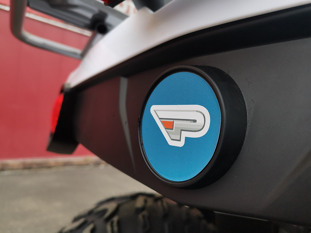 Квадроцикл PROMAX RENEGADE 280 LUX (2025) в Ельце