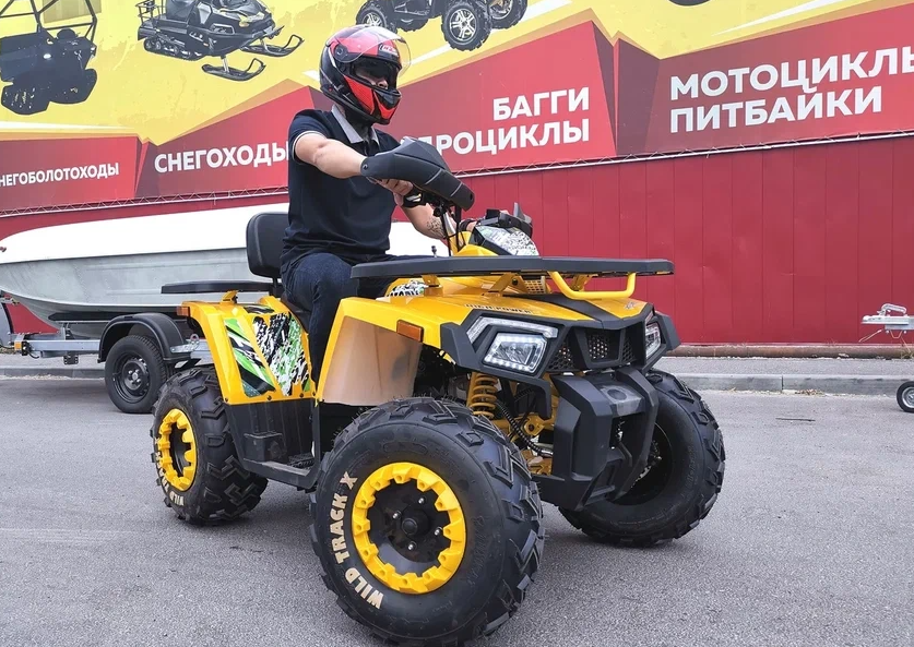 Квадроцикл PROMAX STORM 280 LUX в Ельце