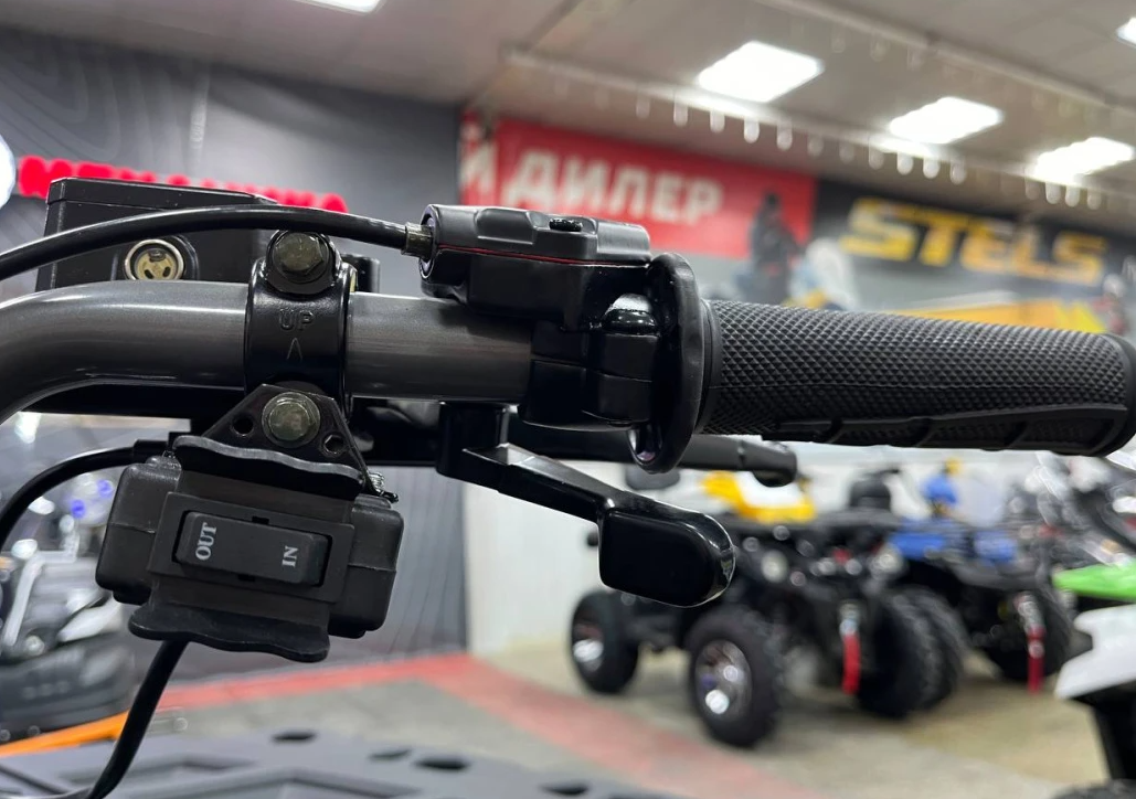 Квадроцикл PROMAX RENEGADE 300 LONG WINCH PRO (2025) в Ельце