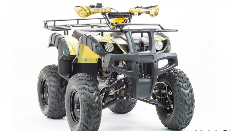 Квадроцикл MOTOLAND (МОТОЛЕНД) 250 ADVENTURE в Ельце