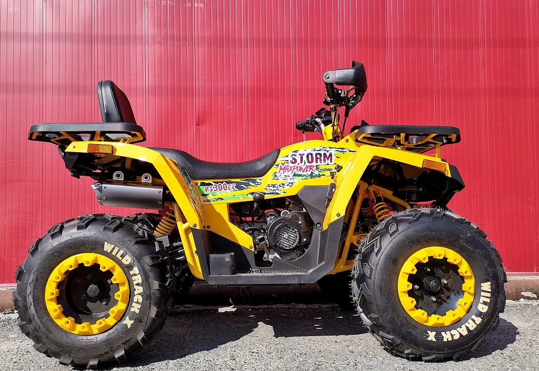 Квадроцикл PROMAX STORM 280 LUX в Ельце