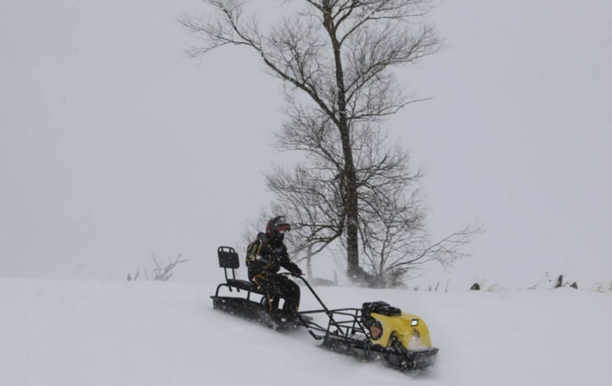 Мотобуксировщик РЫБАК PKD. PSD 20 л.с. (длинная база 1430мм) в Ельце