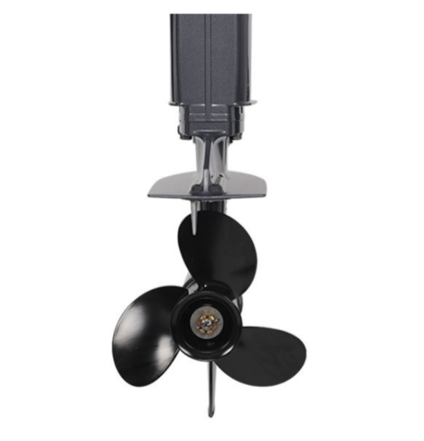 Лодочный мотор ALLFA CG Т40FW S в Ельце