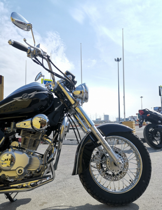 Мотоцикл MOTOLAND (МОТОЛЕНД) WOLF 250 в Ельце