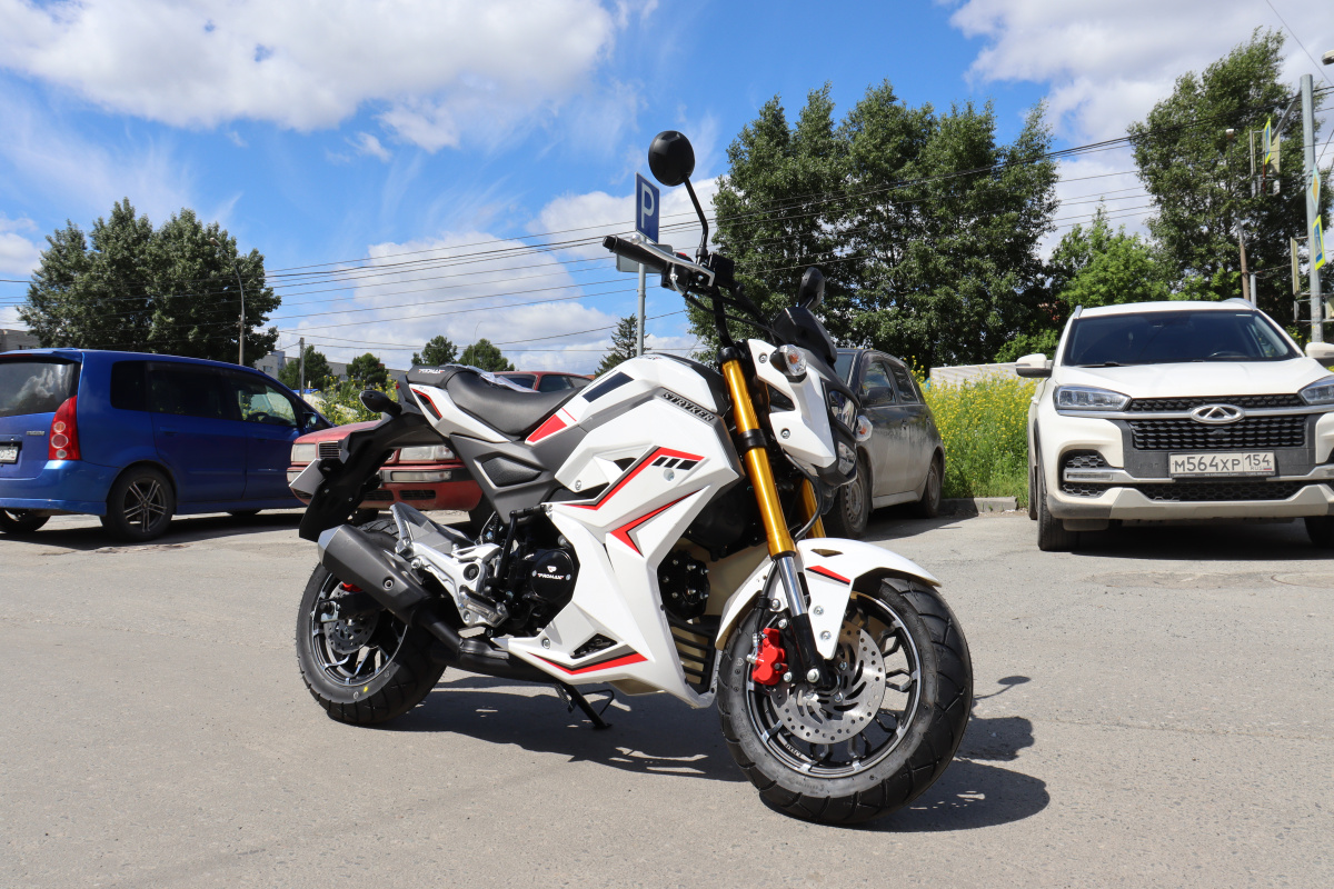 Мотоцикл PROMAX STRYKER 200(49) 2.0 в Ельце