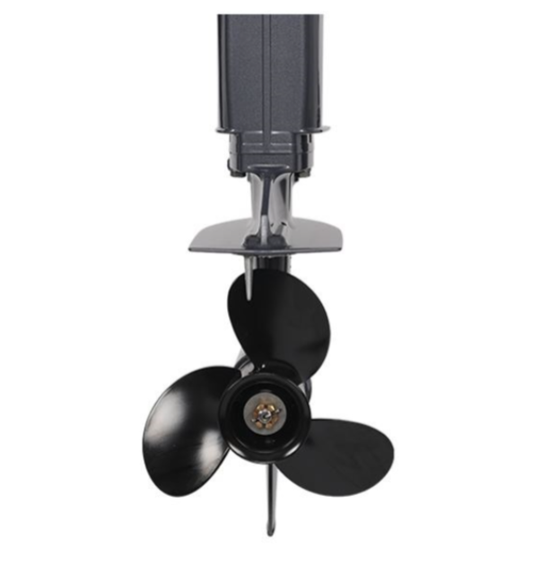 Лодочный мотор ALLFA CG Т40FWT S в Ельце