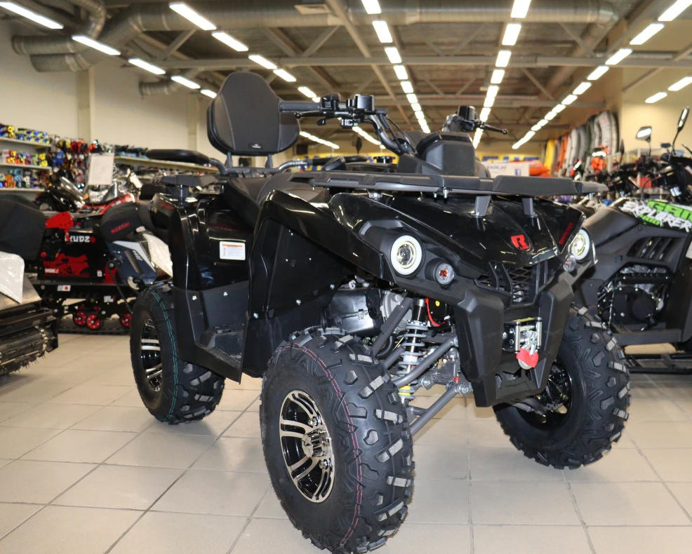 Квадроцикл PROMAX RENEGADE 300 LONG WINCH PRO (2025) в Ельце