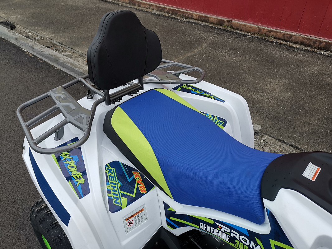 Квадроцикл PROMAX RENEGADE 280 LUX (2025) в Ельце