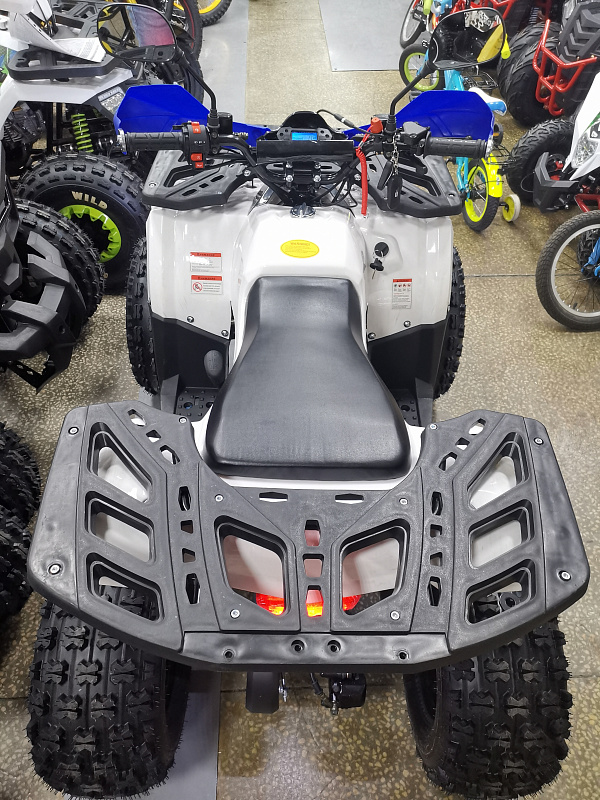 Квадроцикл PROMAX WILD 175 LUX в Ельце