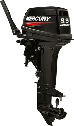 ЛОДОЧНЫЙ МОТОР MERCURY 9.9 MH TMC 247 CC в Ельце