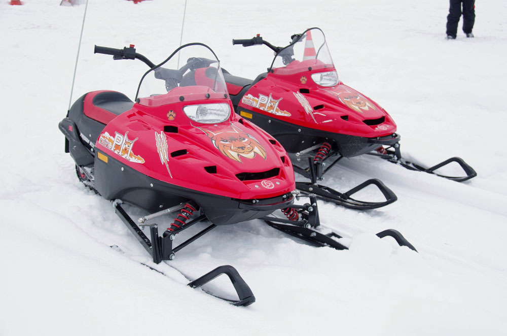 Снегоход РМ ТАЙГА РЫСЬ в Ельце