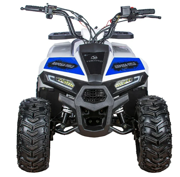 Квадроцикл Yacota Raposa 110 в Ельце