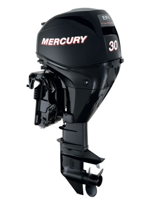 ЛОДОЧНЫЙ МОТОР MERCURY  F 30 ELH GA EFI в Ельце