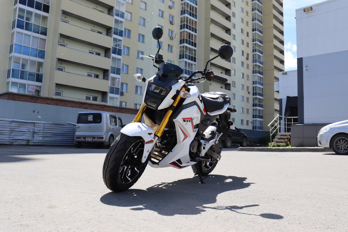 Мотоцикл PROMAX STRYKER 200(49) 2.0 в Ельце