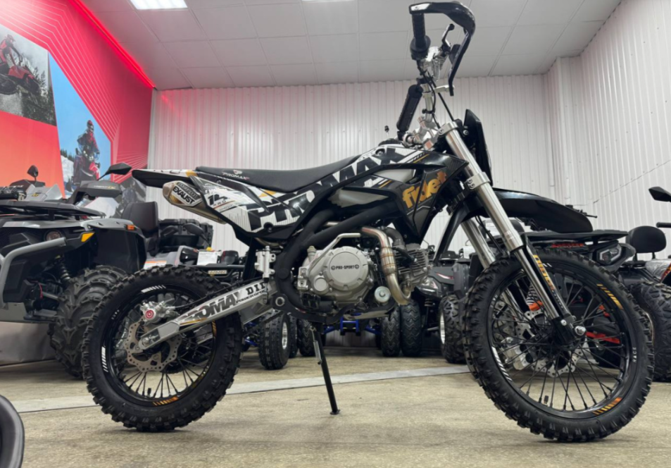 Мотоцикл (питбайк) PROMAX FIDET (ФАЙДЕТ) 145E PRO 17/14 в Ельце