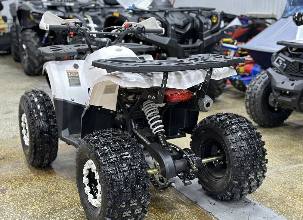 Квадроцикл PROMAX WILD 2.0 190 в Ельце