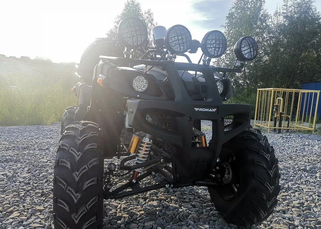 Квадроцикл PROMAX LEO 300 Max (кардан) в Ельце
