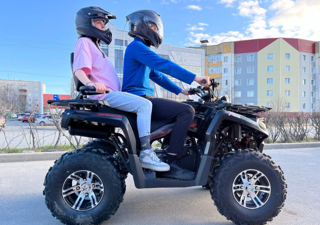 Квадроцикл PROMAX RENEGADE 300 LONG WINCH PRO (2025) в Ельце