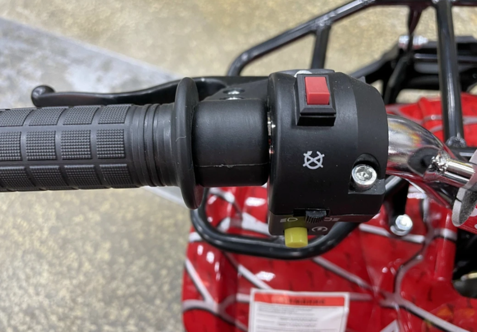 Квадроцикл PROMAX ATV MINI 2T 70CC р/с в Ельце