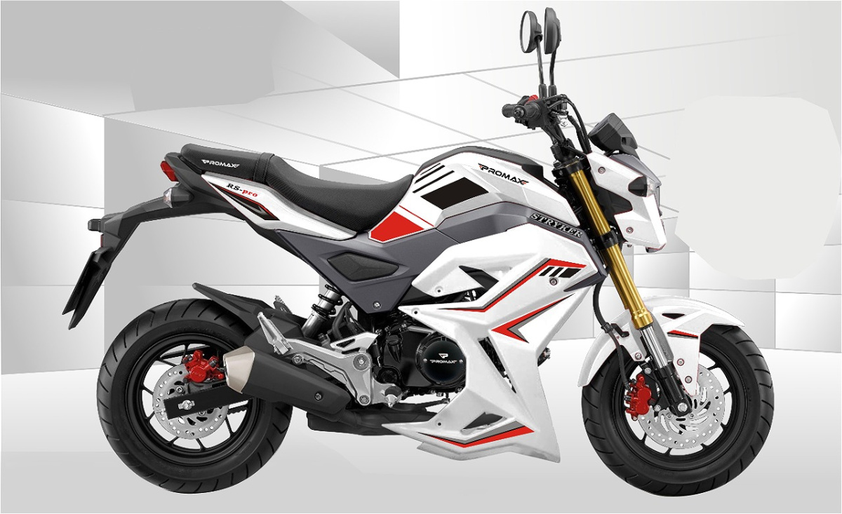 Мотоцикл PROMAX STRYKER 200(49) 2.0 в Ельце