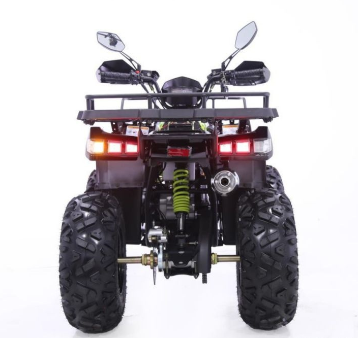 Квадроцикл YACOTA WARRIOR 200 PRO в Ельце