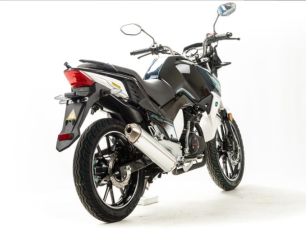 Мотоцикл MOTOLAND (МОТОЛЕНД) FIGHTER 250 в Ельце