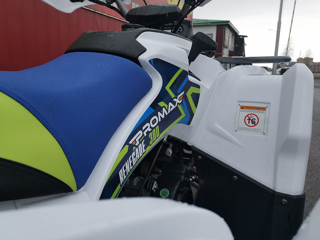Квадроцикл PROMAX RENEGADE 280 LUX (2025) в Ельце
