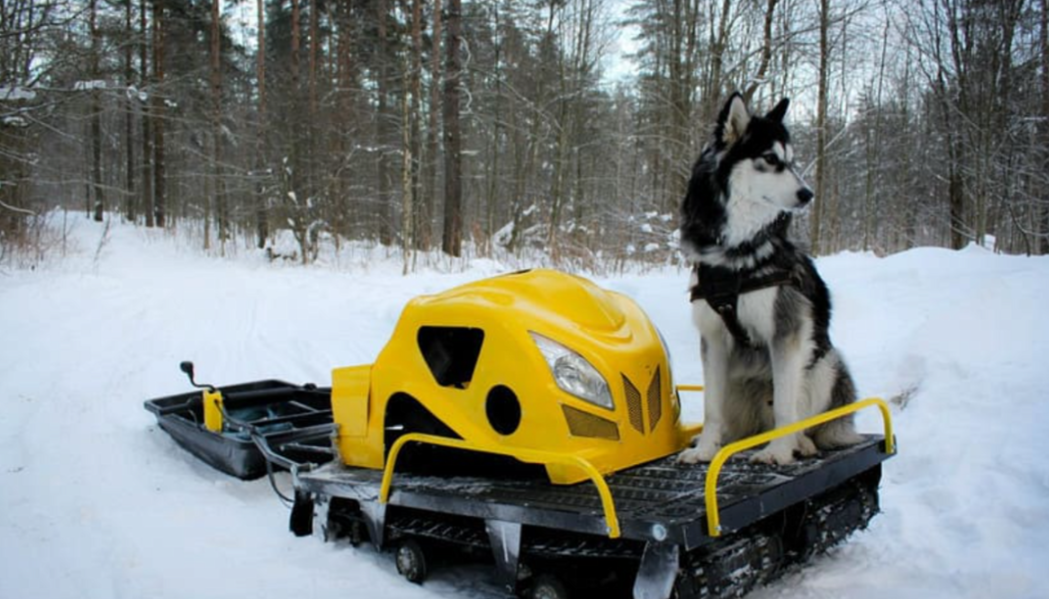 Мотобуксировщик LEBEDEV MOTORS ВОЛКОДАВ POWER V13 в Ельце