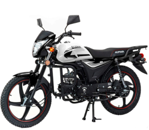 Мопед MOTOLAND (МОТОЛЕНД) Альфа RS 11 (LM48-B) в Ельце
