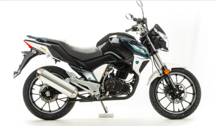 Мотоцикл MOTOLAND (МОТОЛЕНД) FIGHTER 250 в Ельце