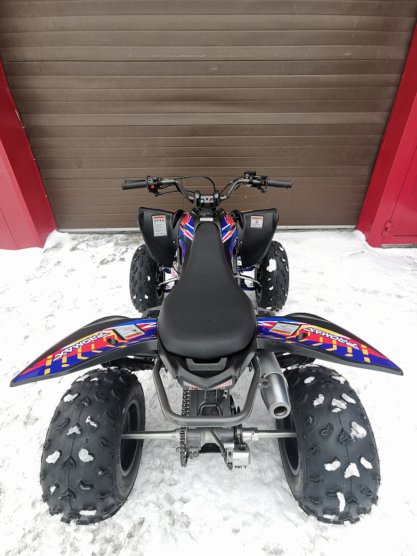 Квадроцикл PROMAX RAPTOR 300 NEW RedBull в Ельце