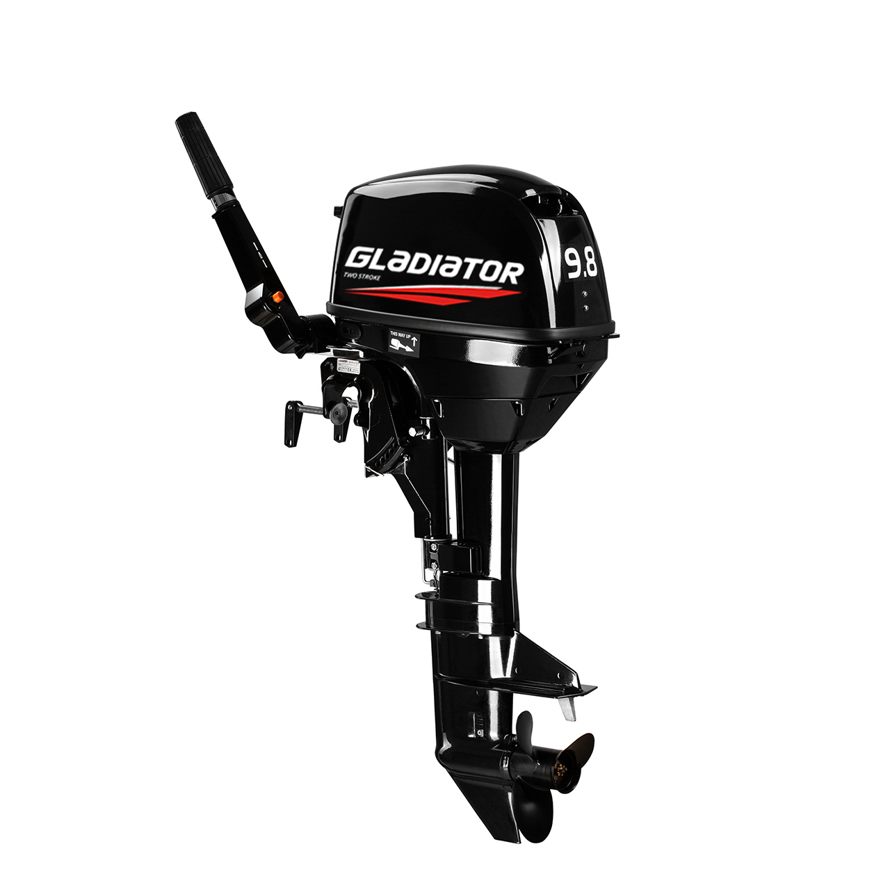 ЛОДОЧНЫЙ МОТОР GLADIATOR G9.8FHS в Ельце